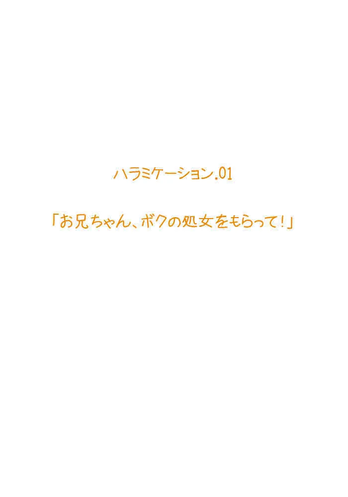 [The Saturn] Imouto Haramikeshon vol.1