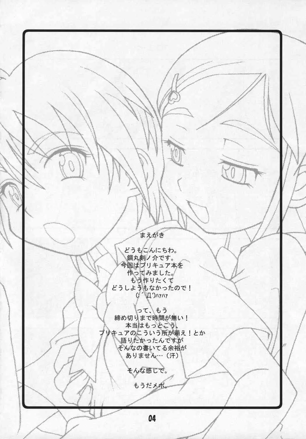 (C66) [鋼工房 (鋼丸剣ノ介)] SECRET DIARY (ふたりはプリキュア)_3