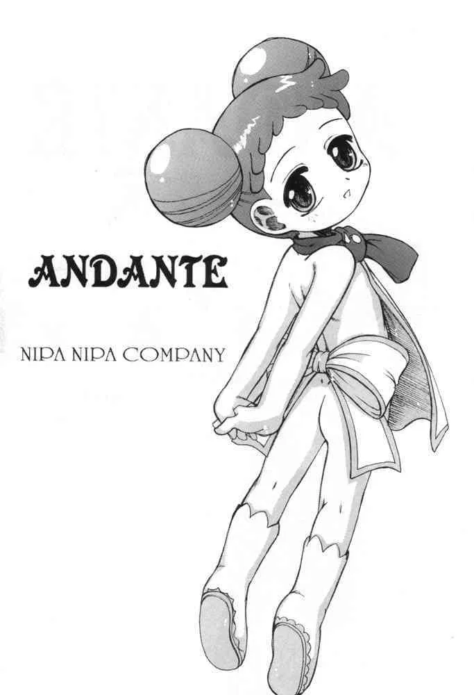 [NIPA NIPA COMPANY] ANDANTE (doremi)_2