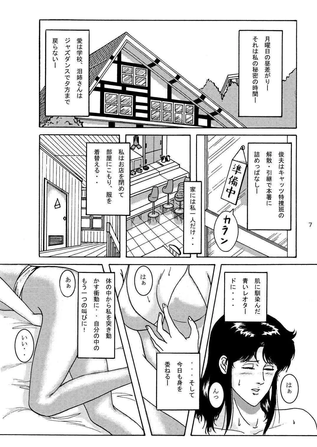 [アトリエピンポイント (クラック)] 夜間飛行 vol.1 DAY DREAMIN’ (キャッツ・アイ)_6