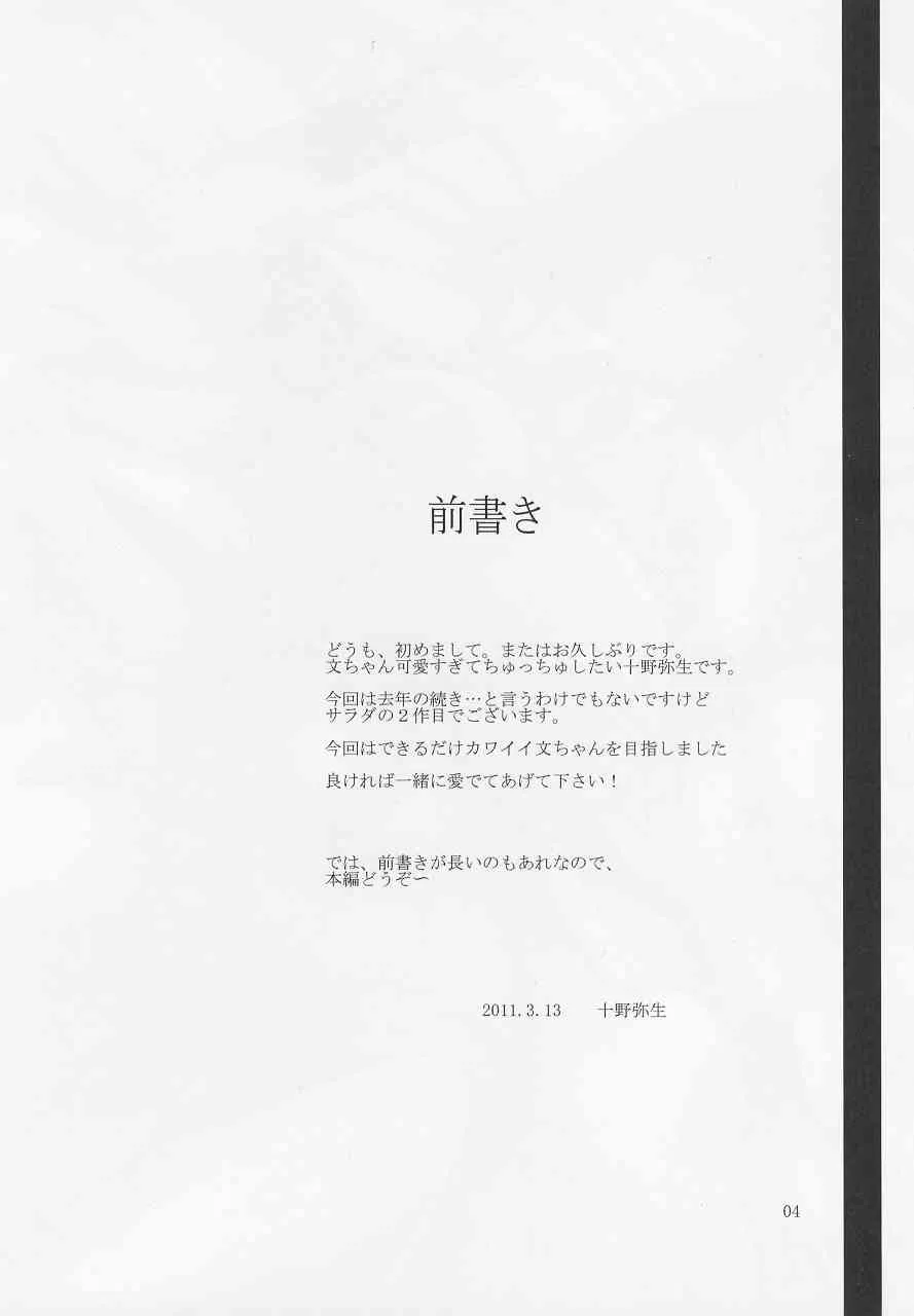 (例大祭8) [カラノツキ (十野弥生)] サラダたべて妄想郷 2 (東方Project)