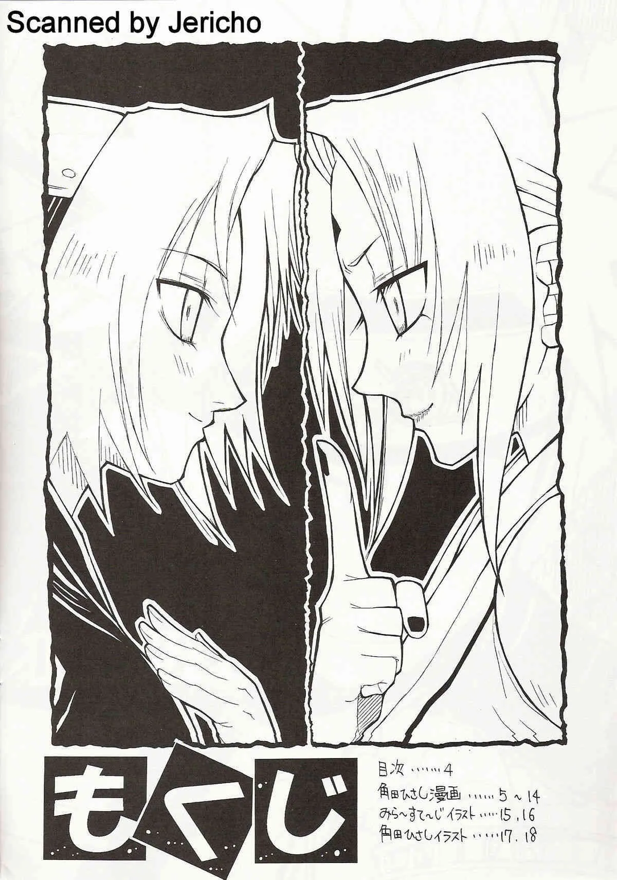 image_3
