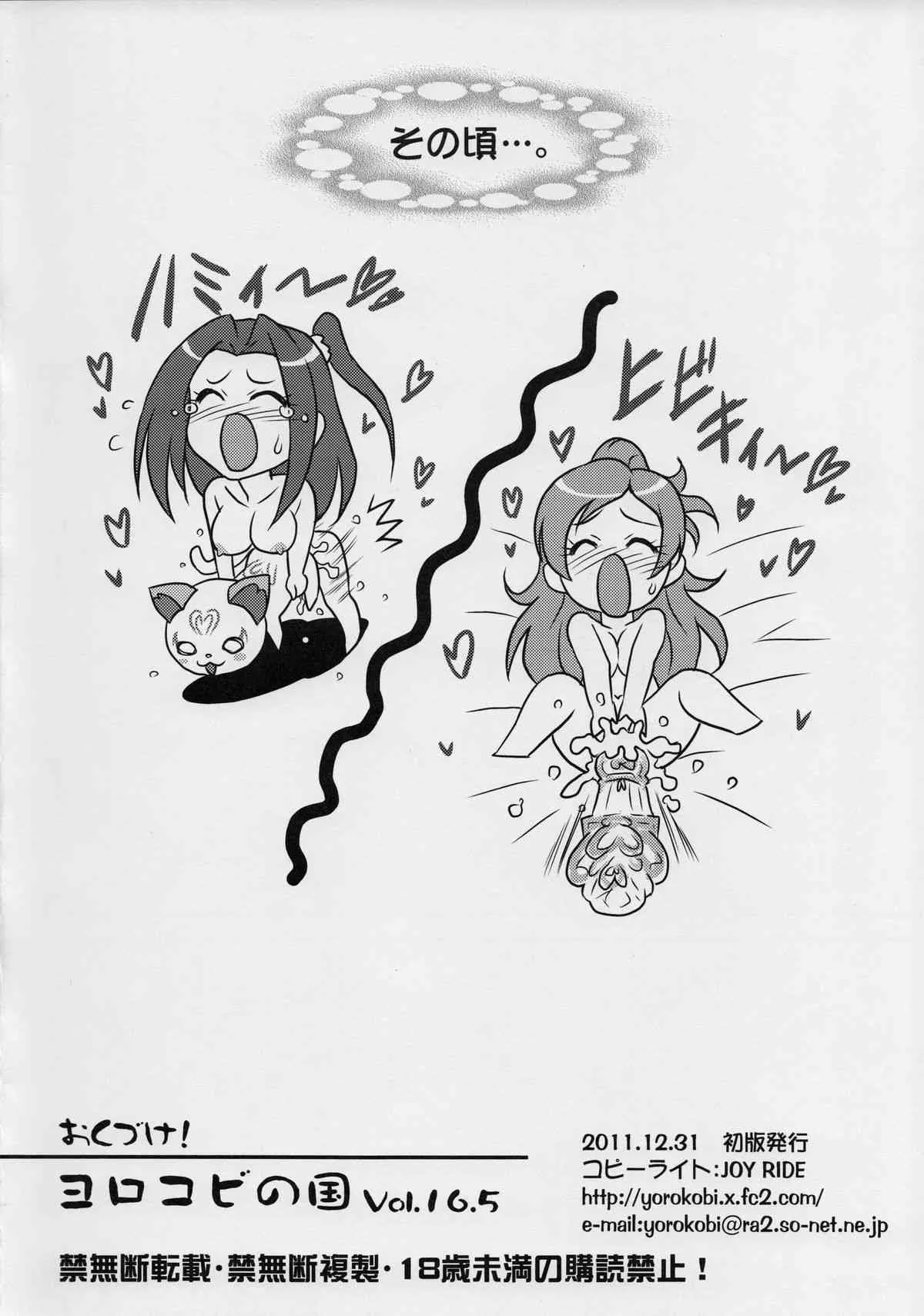 (C81) [ヨロコビの国 (JOY RIDE)] ヨロコビの国 Vol.16.5 C81限定頒布 (スイートプリキュア♪)_8