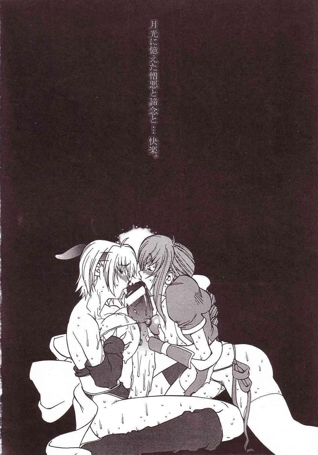 (C65) [ハタハタ工房 (琴義弓介)] XXX III (デッド・オア・アライブ)_3