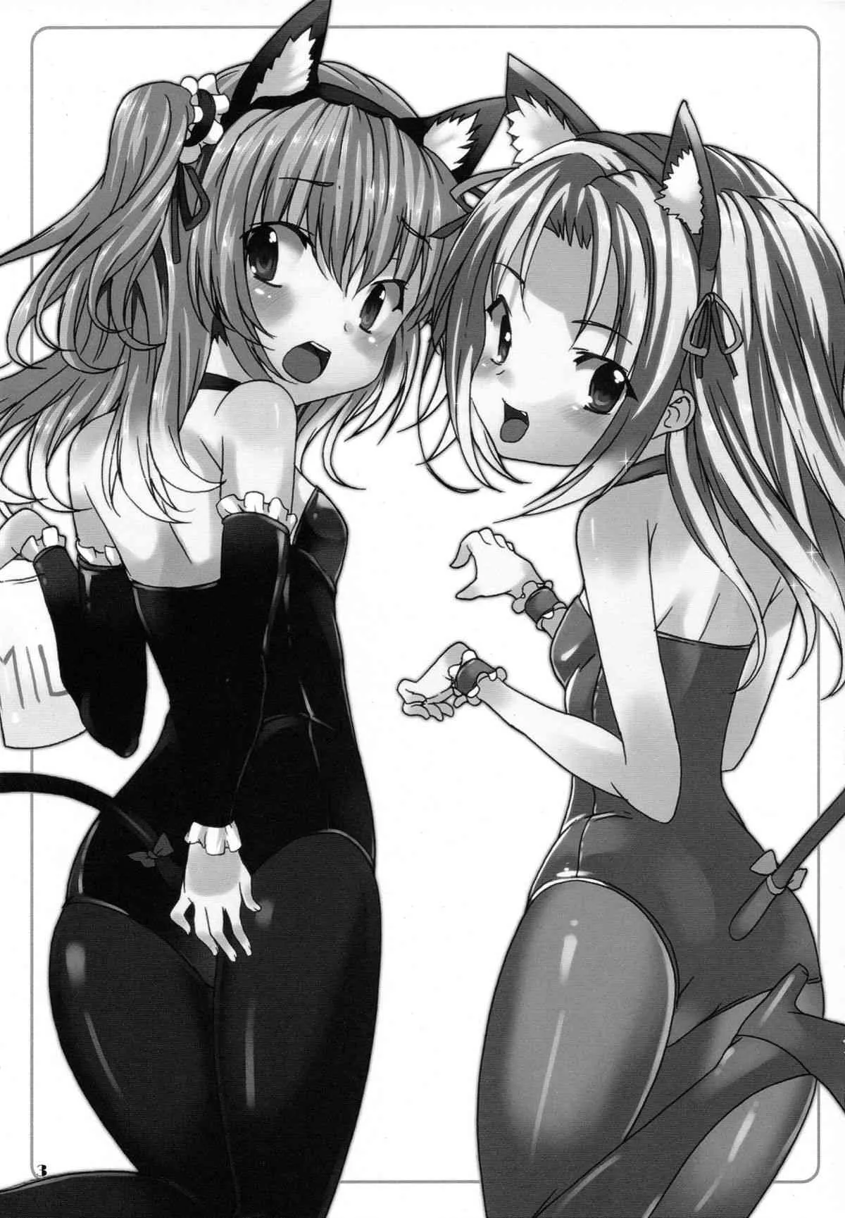 (C80) [ワッフル同盟犬 (田中竕)] おにいちゃんぺろぺろ (僕は友達が少ない)_3