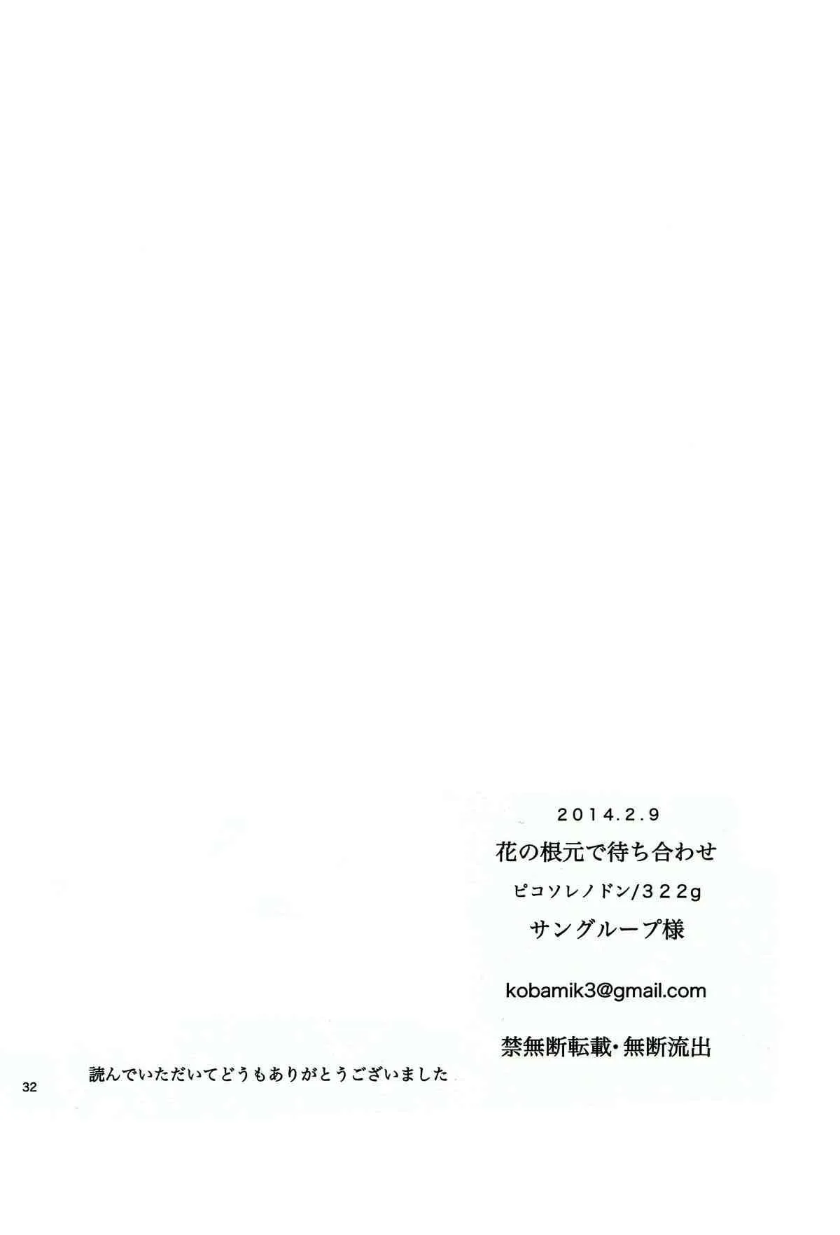 image_31