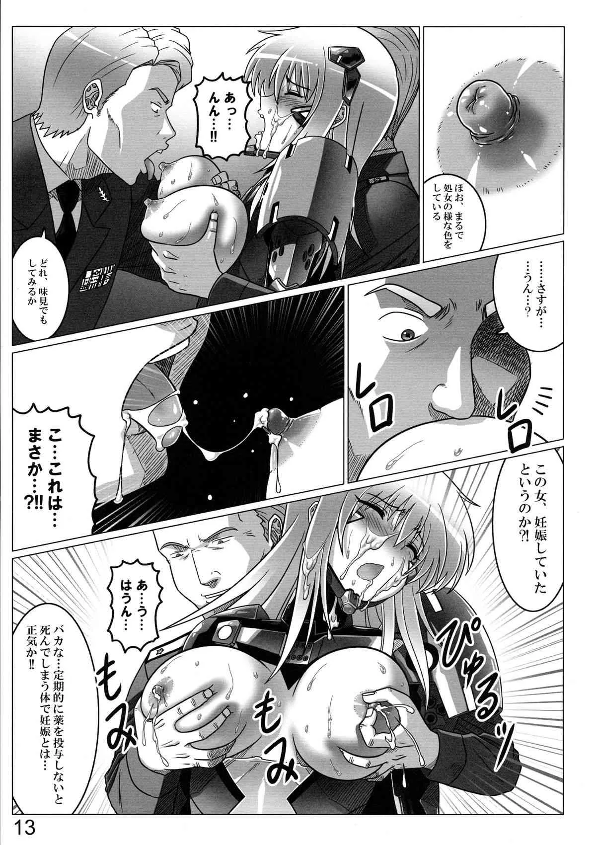 (C86) [LEYMEI (LEYMEI)] イーダルの残骸 (マブラヴ)_9