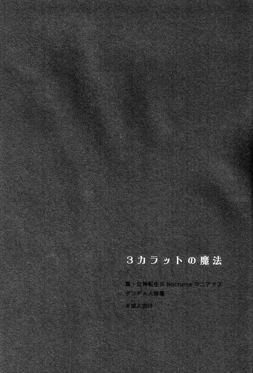 (C83)[葱庫 (ねぎ)] 3カラットの魔法 (真・女神転生III-NOCTURNE)_3