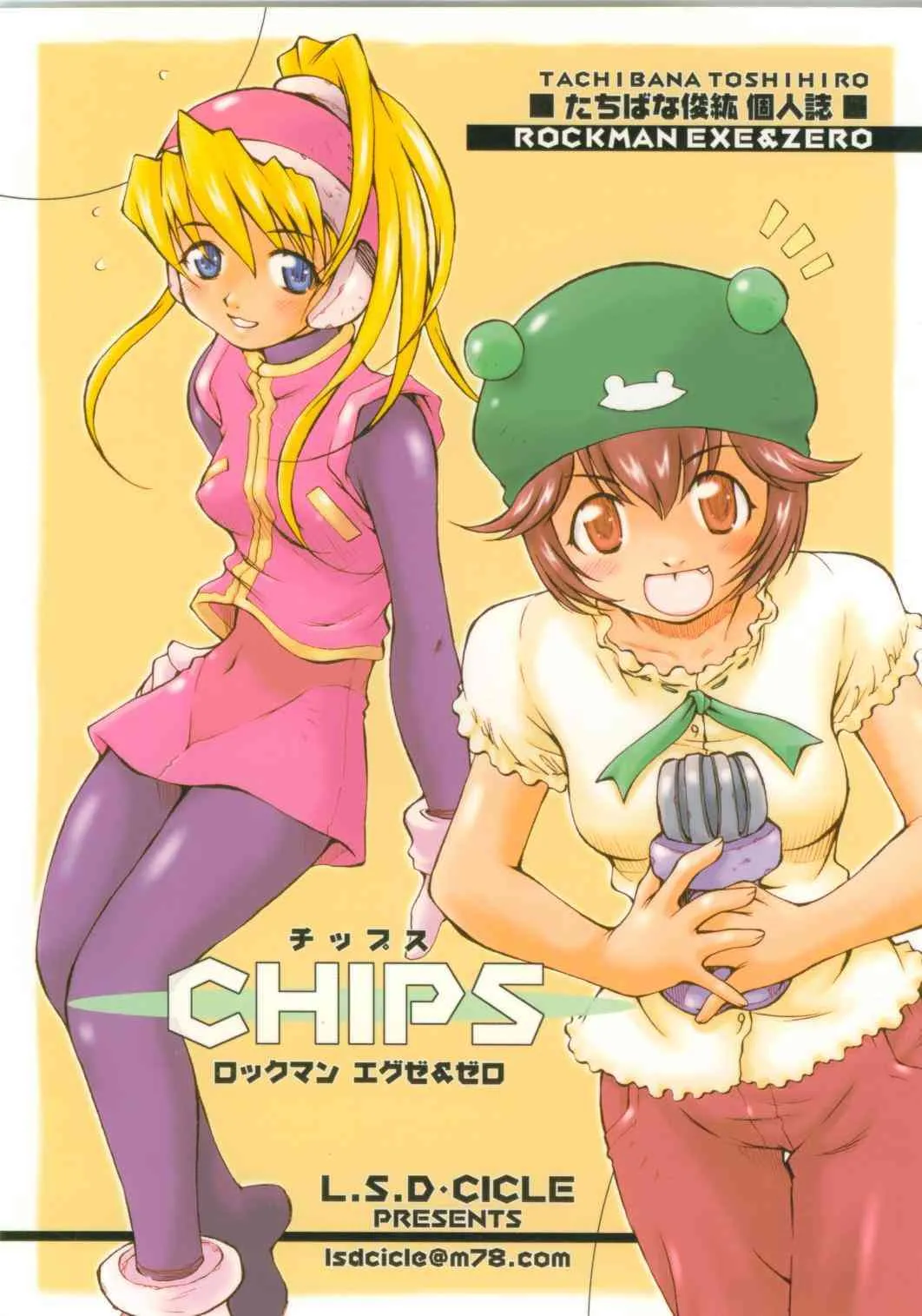 Chips (Rockman EXE and Zero)