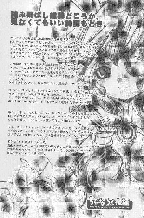 (SC20) [西南西ニ輝ケル星 (森野ぱぴこ)] らぐなろく夜話 Level.1 (グナロクオンライン)_3