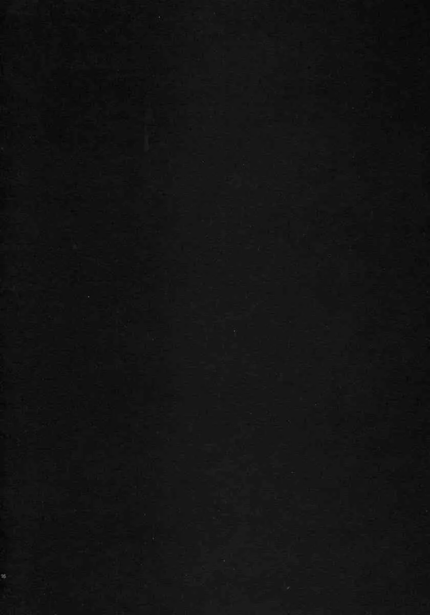 image_15