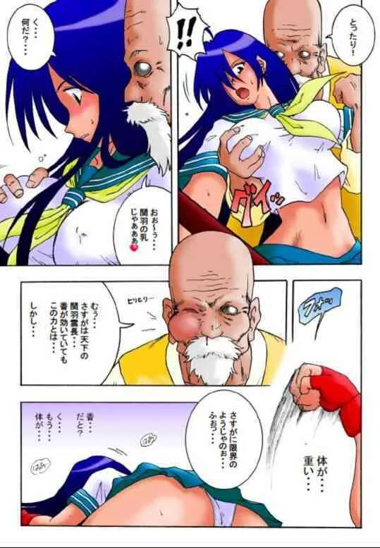 [らすこう (るせら)] 花道畦道Vol.5 (一騎当千、ドラゴンボール)_4