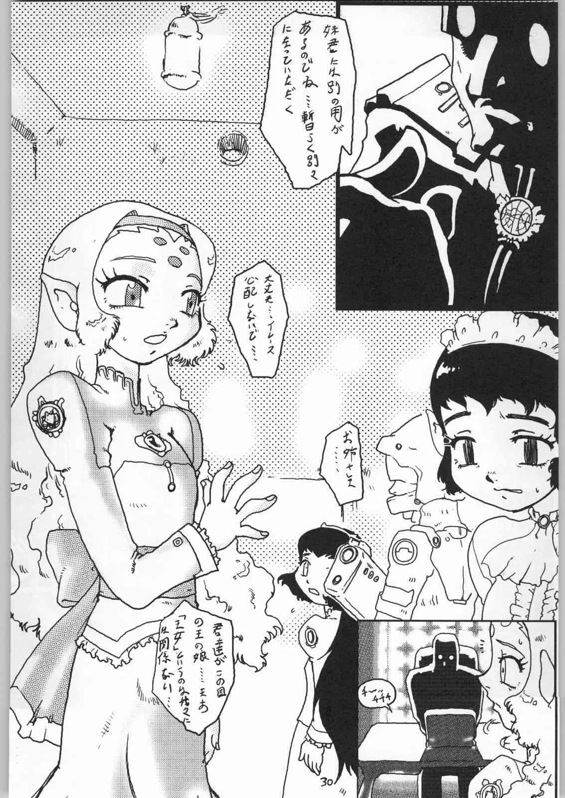 image_29