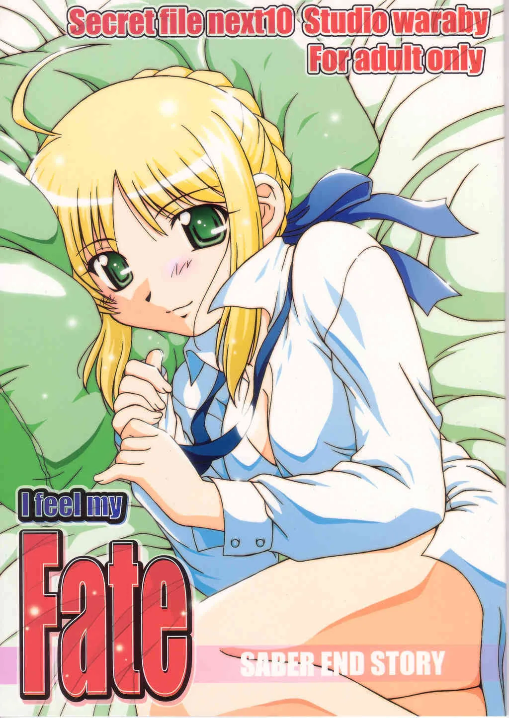 [Studio Wallaby] Secret File Next 10 (Fate)