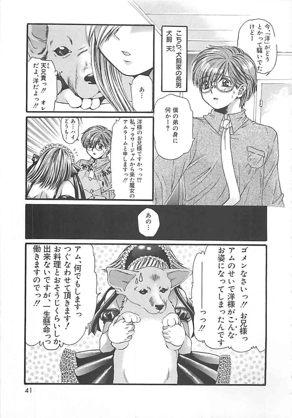 image_40