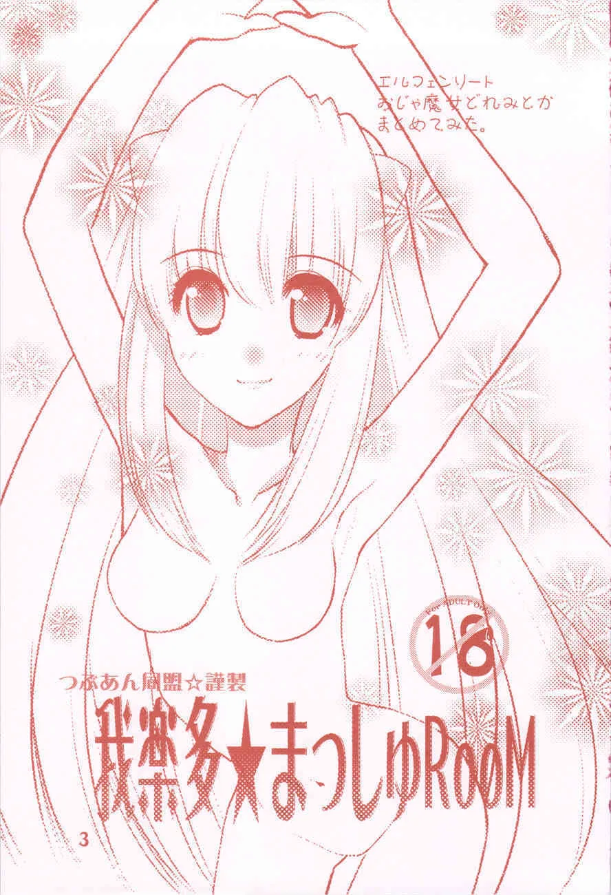 (C77) (同人誌) [つぶあん同盟] 我楽多☆まっしゅRooM (影崎☆総集編)_3