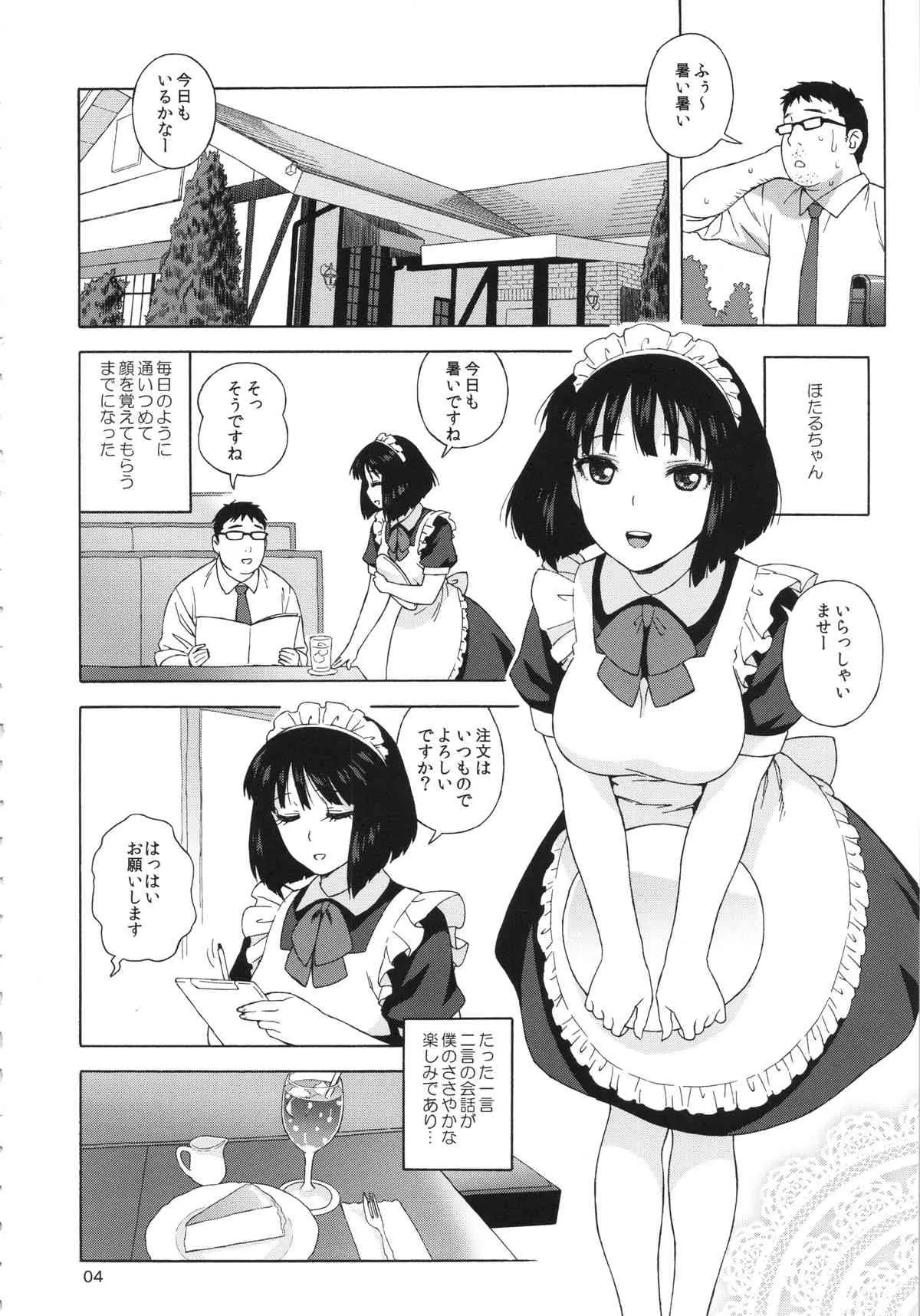 (C86) [666PROTECT (甚六)] JKのほたるちゃんと結婚する方法 (美少女戦士セーラームーン)_3