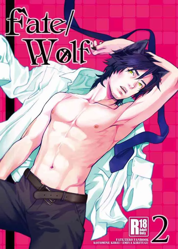 (COMIC CITY SPARK 8) [めっちょり (みつる)] fate/wolf2 (Fate/Zero)