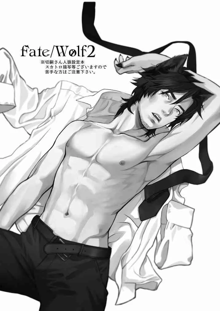 (COMIC CITY SPARK 8) [めっちょり (みつる)] fate/wolf2 (Fate/Zero)_3