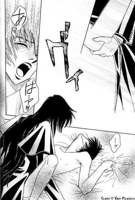 (C68) [北春日部老人会 (望登穂)] Ja!Äundessenn.7 (ヘルシング)_5
