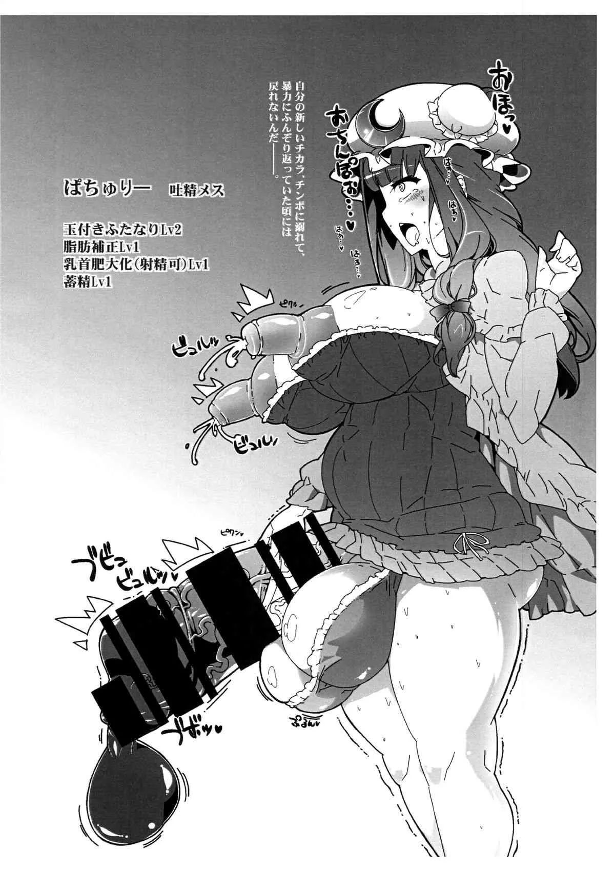 (C86) [東京バンゲリングベイ横浜 (くろり)] 洗脳機械いいよね! (東方Project)_3