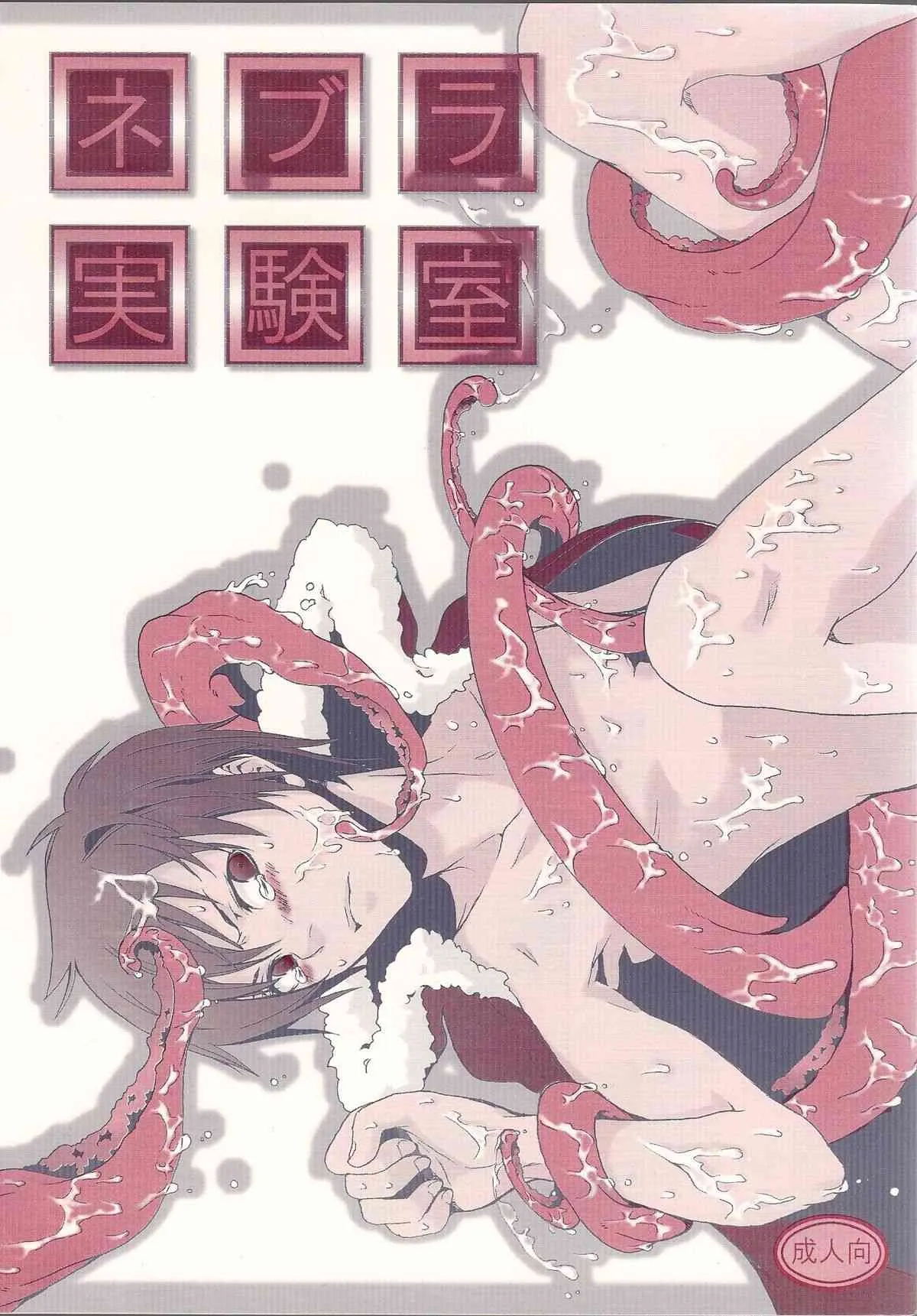 (C83) [海月の骨 (シャンメイ)] ネブラ実験室 (デュラララ!!)
