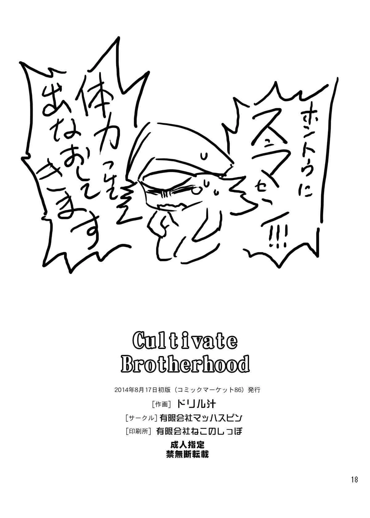 [有限会社マッハスピン (ドリル汁)] Cultivate Brotherhood (ストリートファイター) [DL版]_8