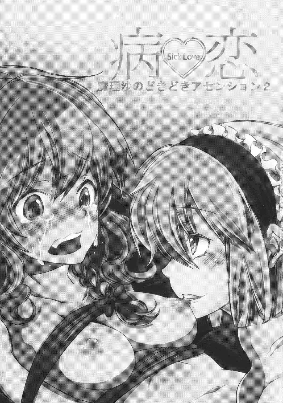 (C83) [にっぷる木馬 (ぱらボら)] 病恋 (東方Project)_3