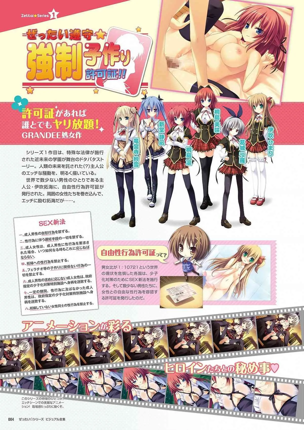 ぜったい☆シリーズ ビジュアル全集_6