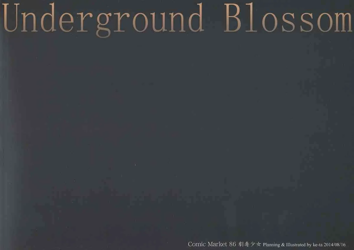 (C86) [劇毒少女 (ke-ta)] Underground Blossom (東方Project)_4