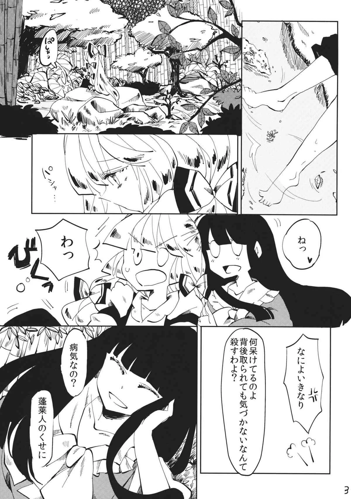 (例大祭11) [アコウクロウ (鼓膜)] できそこないハニーシラップ (東方Project)_4