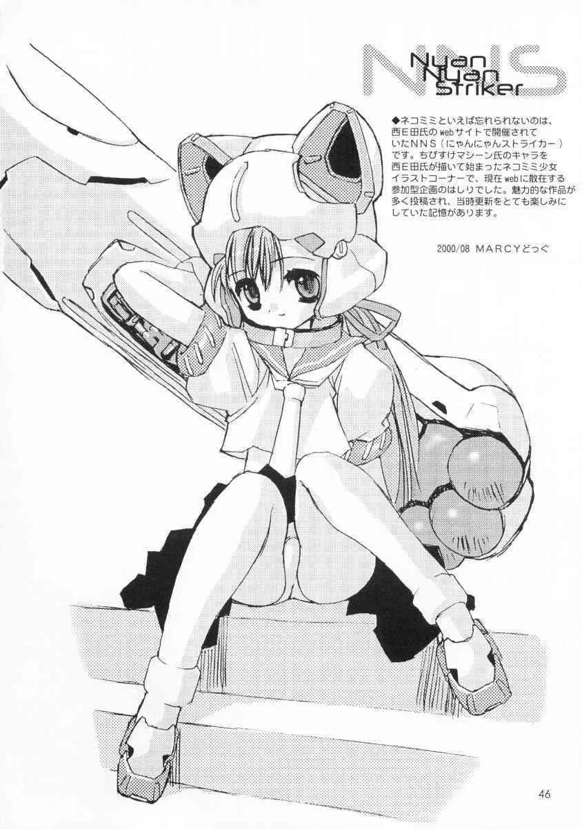 image_48