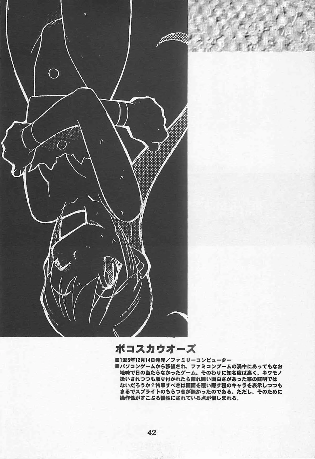 image_41