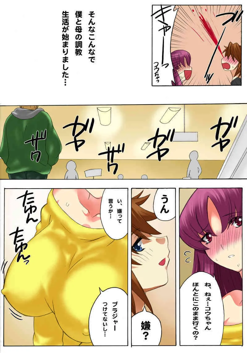 [The Saturn] botepuri5_6
