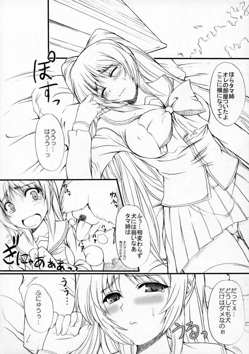 (COMIC1☆01) [Primal Gym (河瀬セイキ)] Sister’s Impact 2nd (トゥハート2)_4
