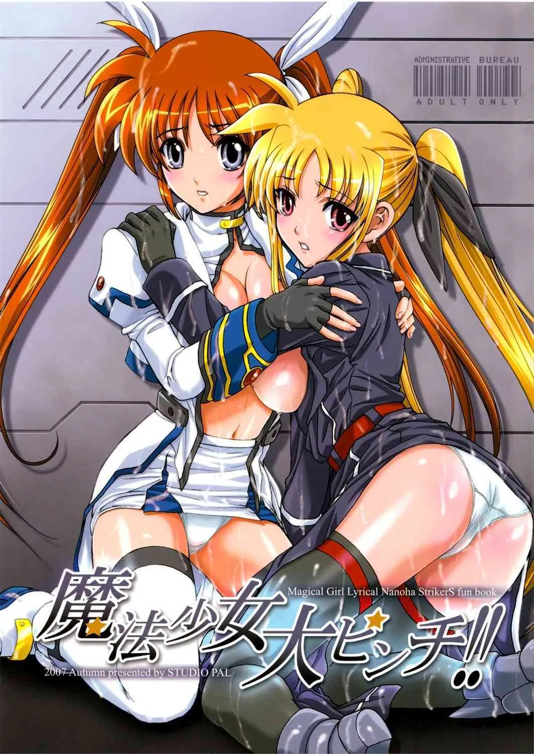 [STUDIO PAL (犬崎みくり, 南野琴)] 魔法少女大ピンチ!! (魔法少女リリカルなのはStrikerS)