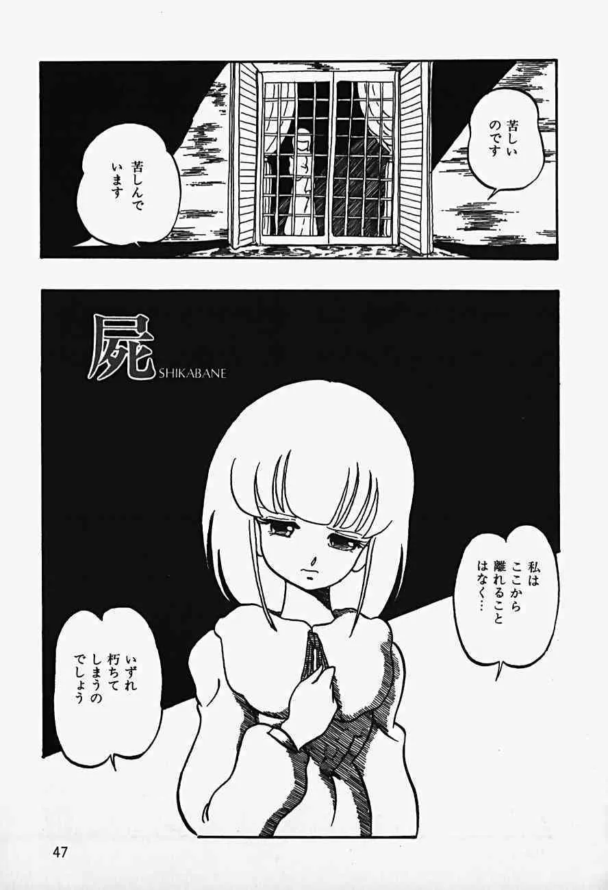 image_29