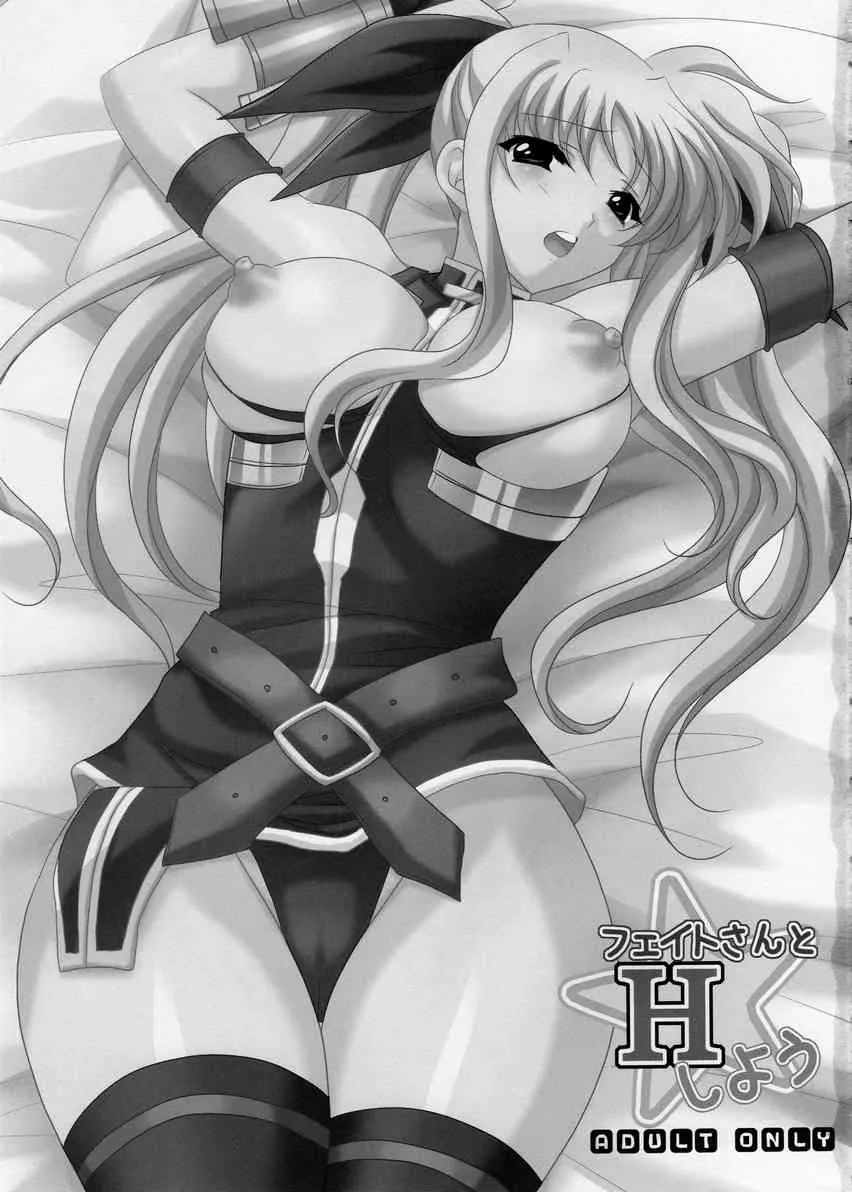 [みけこ堂 (みけこ)] フェイトさんとHしよう (魔法少女リリカルなのは)_2