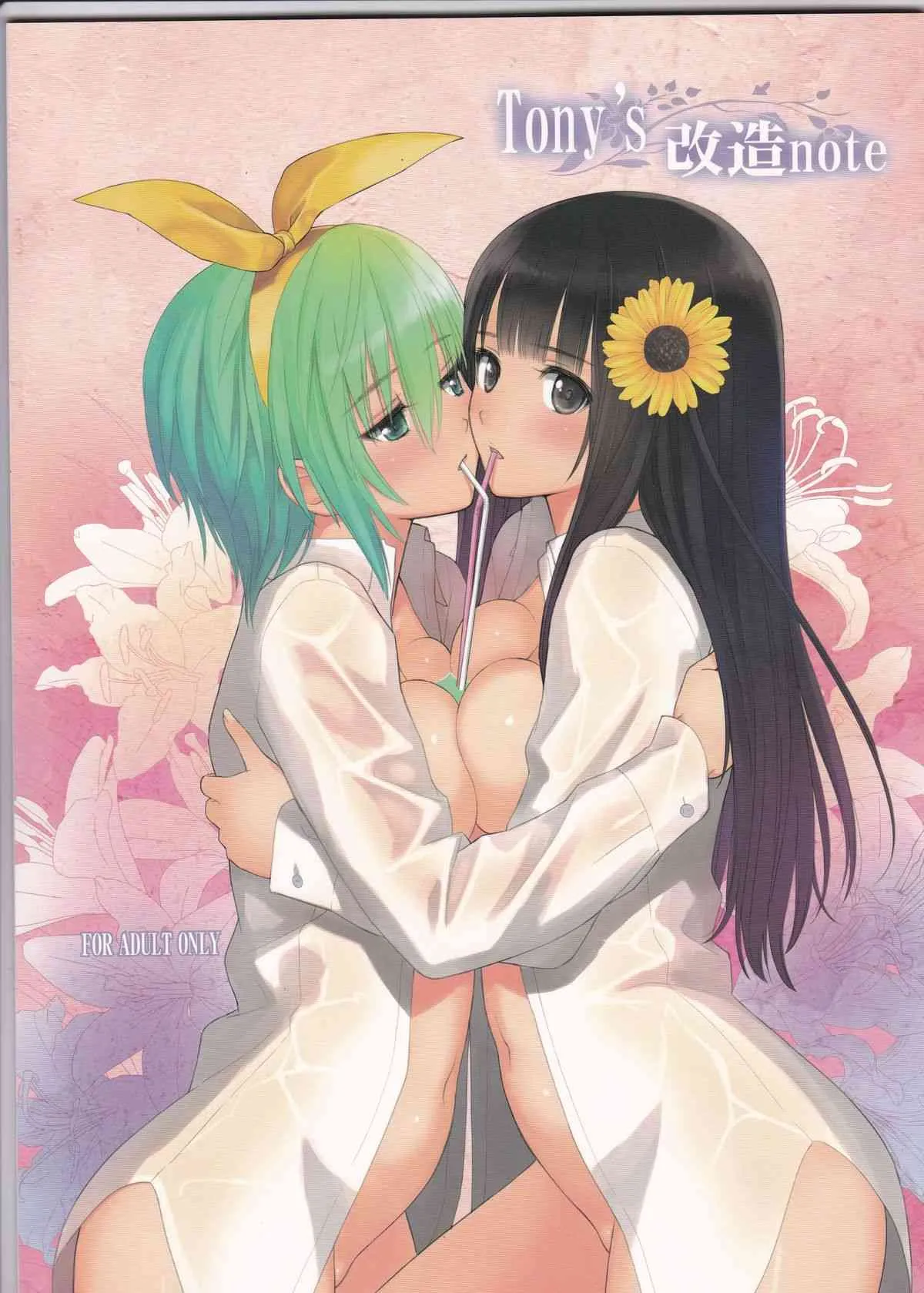 (C86) [T2 ART WORKS (Tony)] Tony’s 改造note