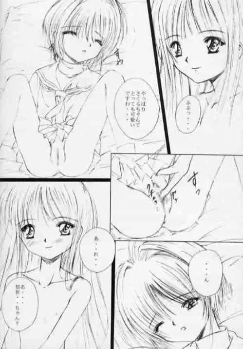 [R-SPIRITS] SPLENDID FLOWER GARDEN (カードキャプターさくら)_5