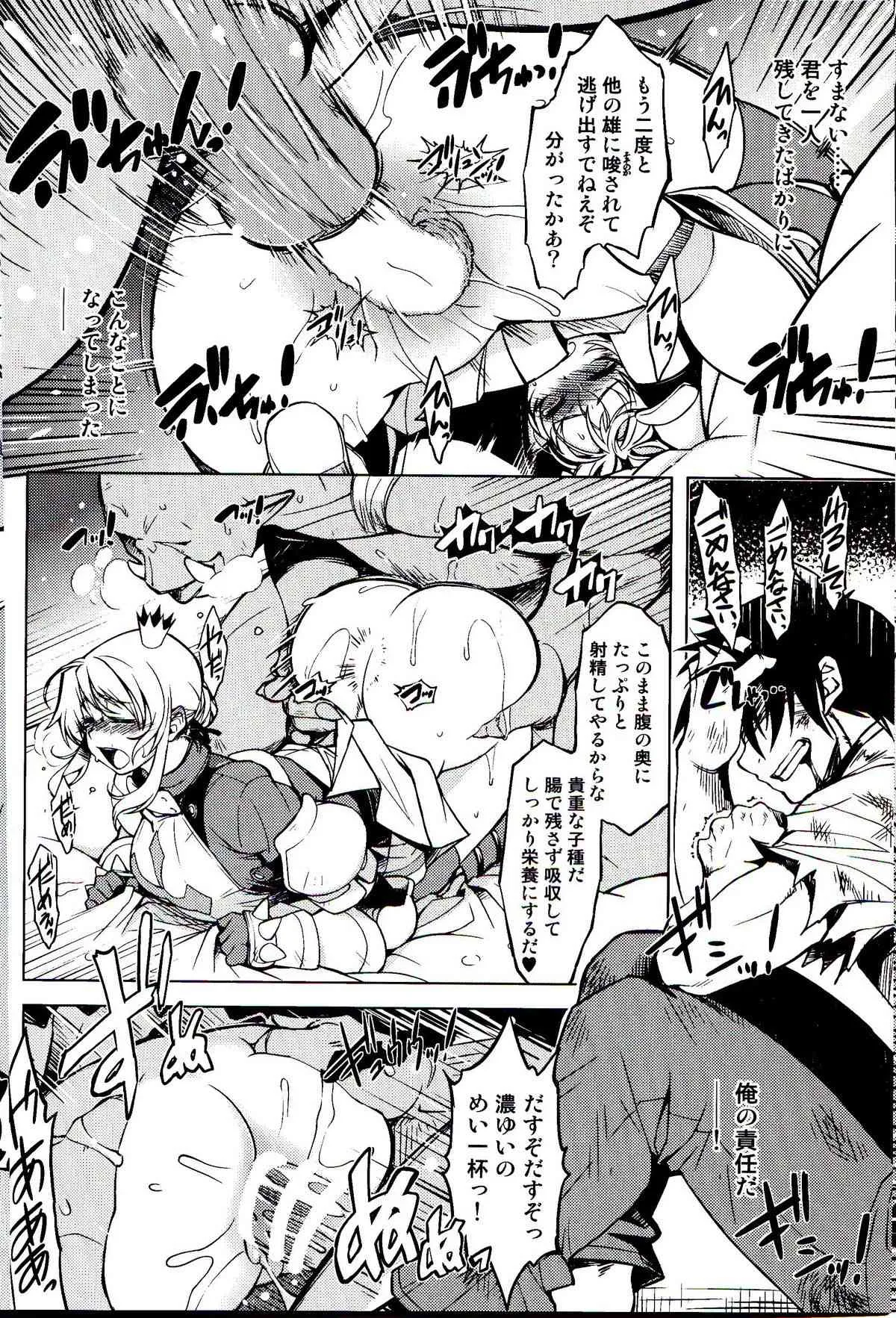 (C86) [Xration (mil)] 姫騎士テイム 3 (ラグナロクオンライン)_6