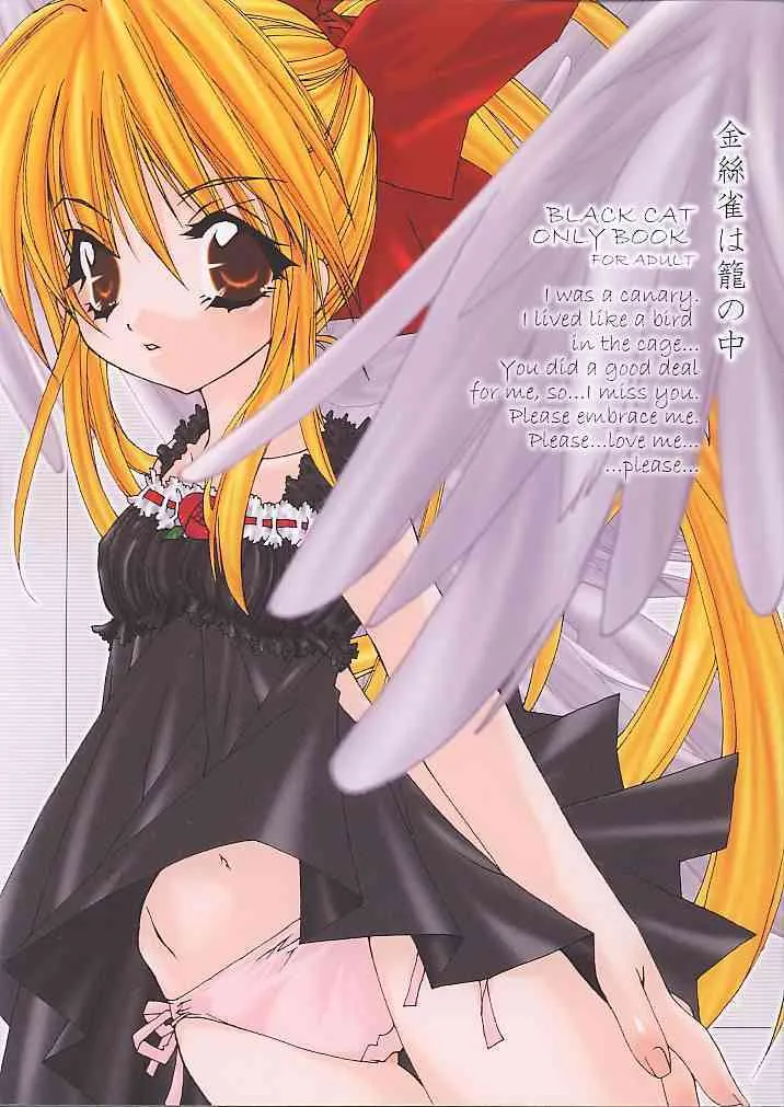 [Vollmond] Kanariyaha Kagononaka ( Black Cat )