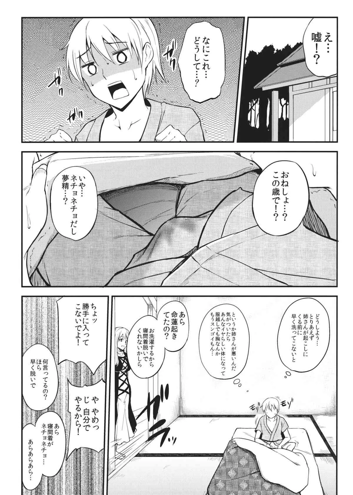 (例大祭11) [p-館 (pの字)] Pure Immoral (東方Project)_2