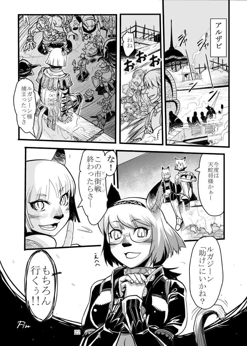 image_21