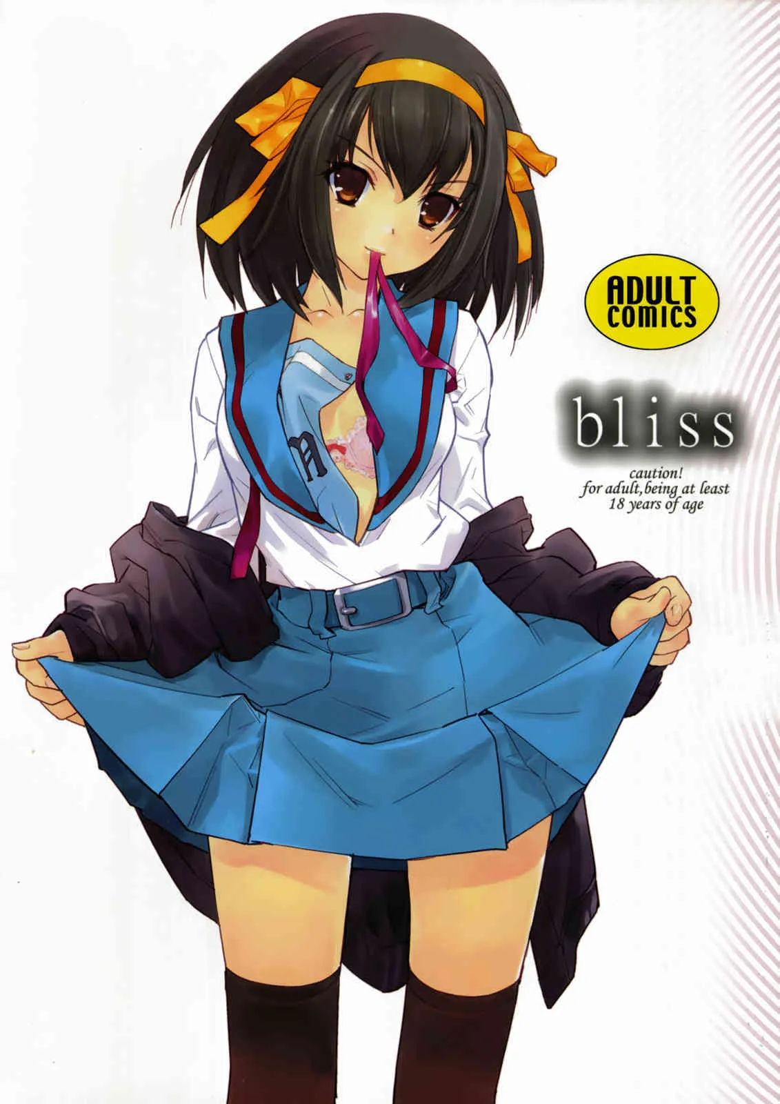 (C73) [はぽい処 (岡崎武士)] bliss (涼宮ハルヒの憂鬱)