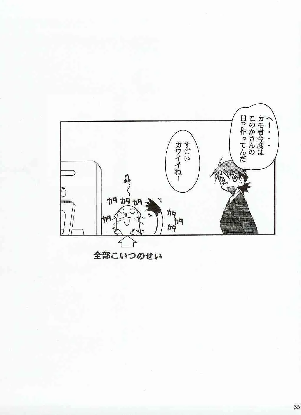 image_34