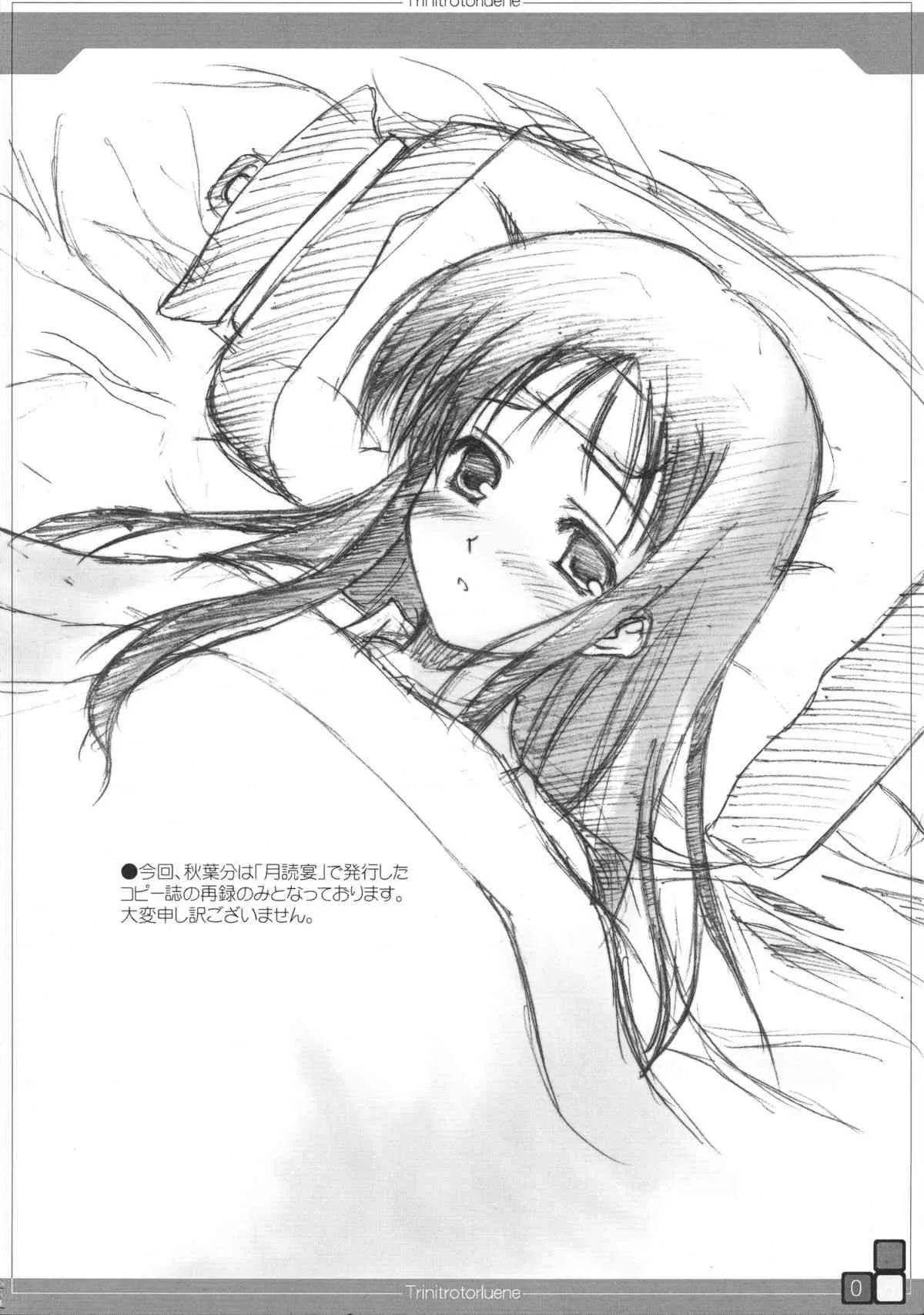 (C66) [残虐行為手当 (なさけむよう)] Trinitrotoluene (灼眼のシャナ)_7