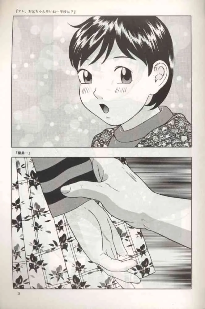 (C55) [モモンガ倶楽部 (林原ひかり)] 留美ちゃん１３歳_4