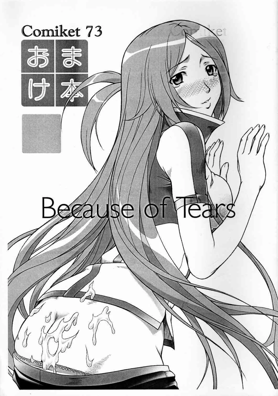 [OTOGIYA X-9] Because of Tears (dragonaut)