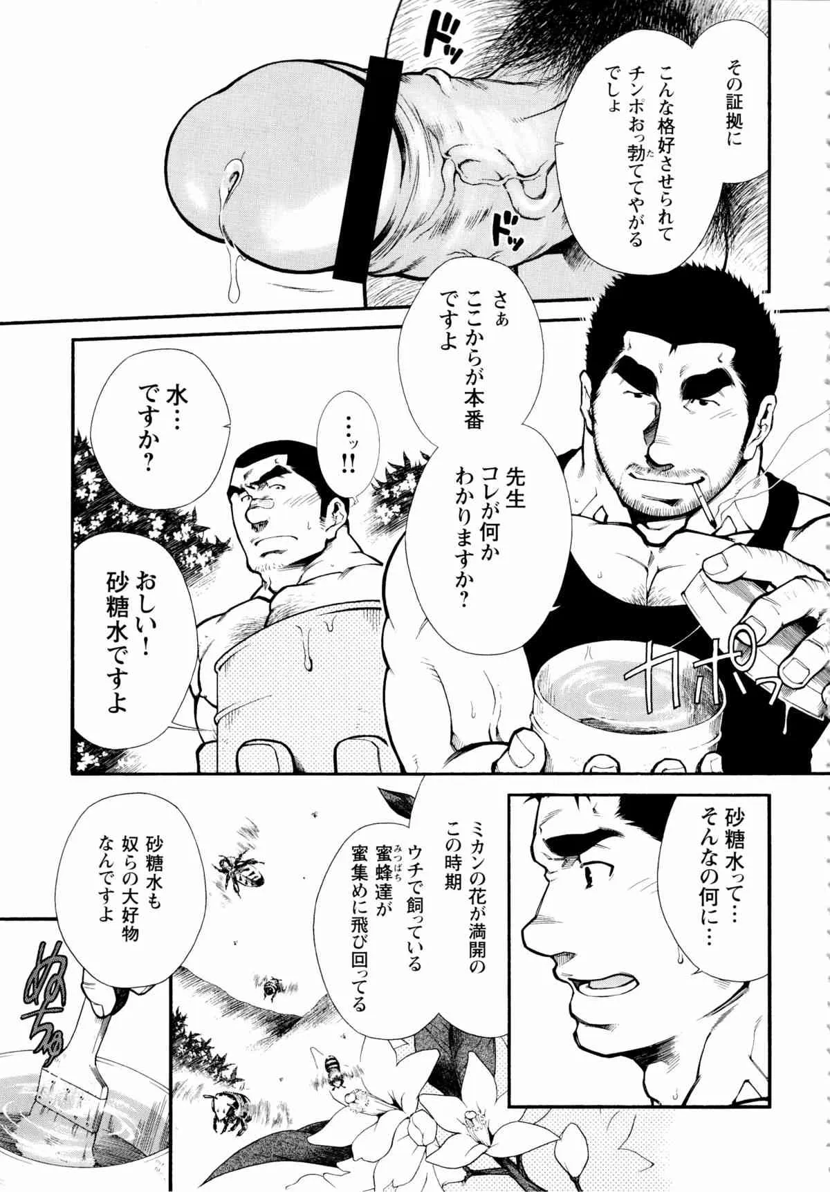 Osu Hachi no Mitsu – by -晃次郎 (Terujirou)_7